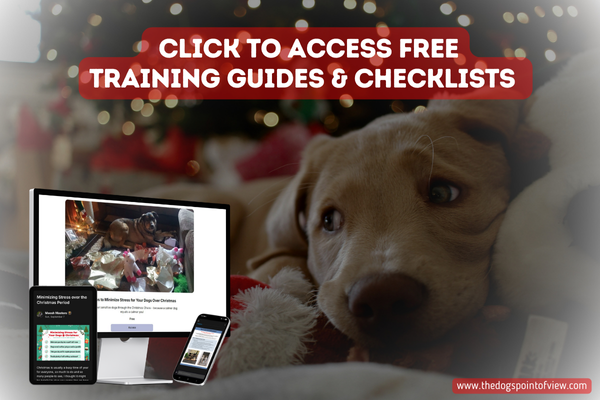 dog with christmas lights and text on